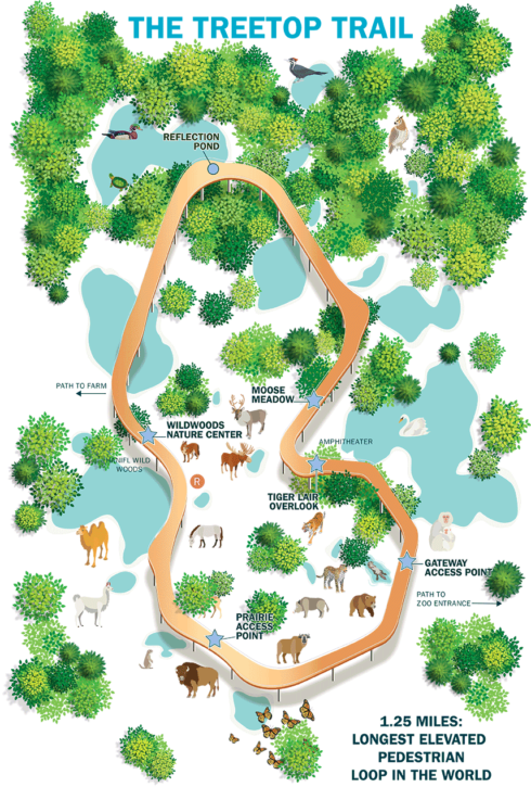 Minnesota Zoo Treetop Trail