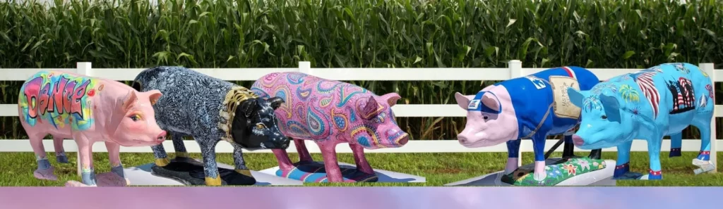 Going Hog Wild In Martin County Painted Pigs