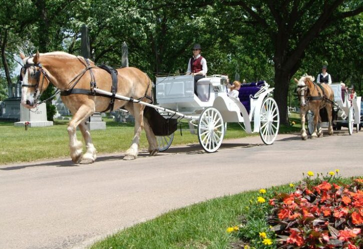 carriage rides