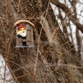Gnomesgiving Gnome Hunt in New Brighton