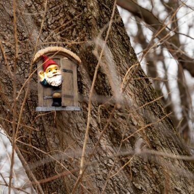 Gnomesgiving Gnome Hunt in New Brighton