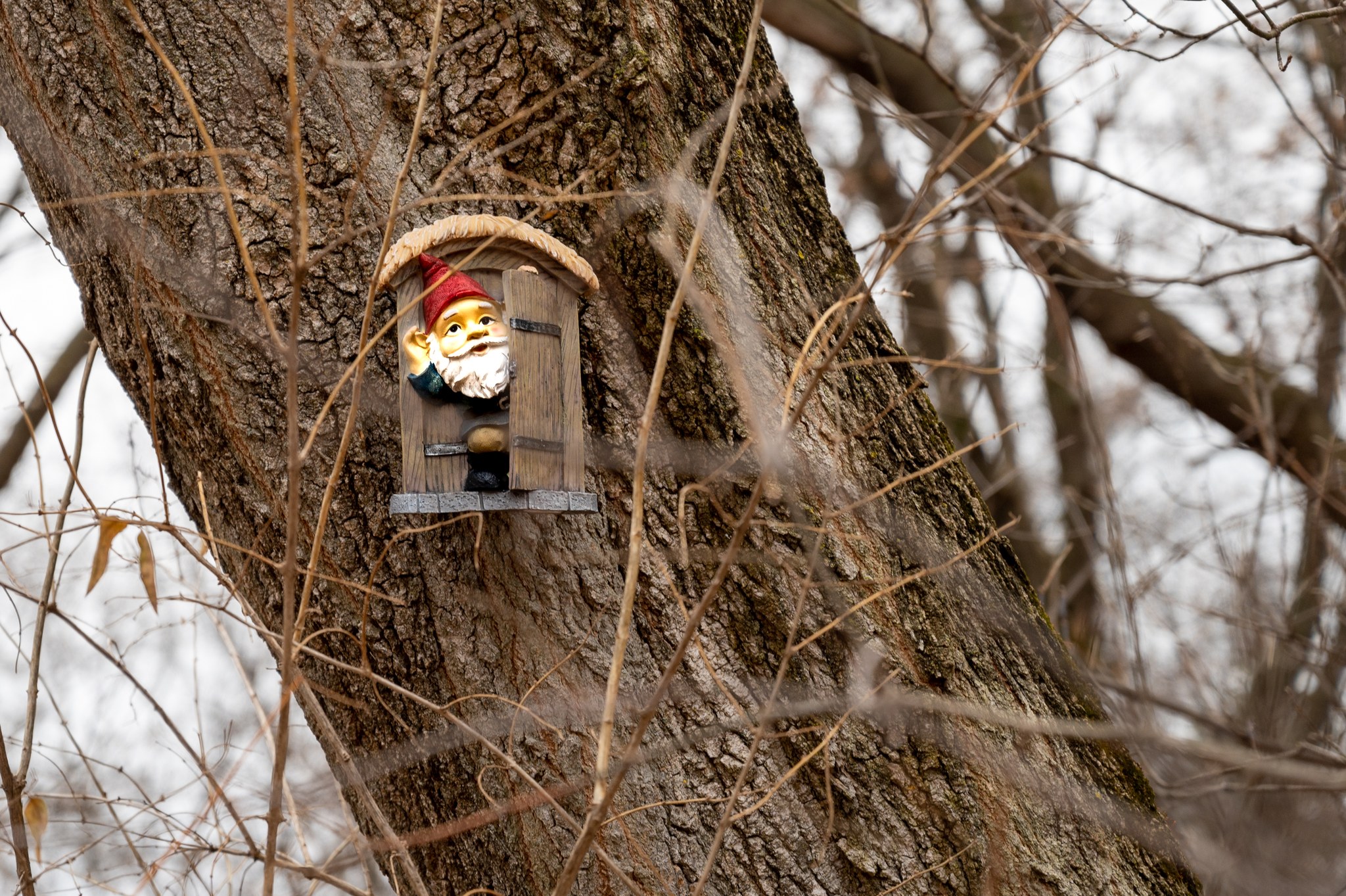 Gnomesgiving Gnome Hunt in New Brighton Thrifty Minnesota