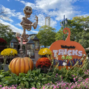 Velleyfair Tricks and Treats Display