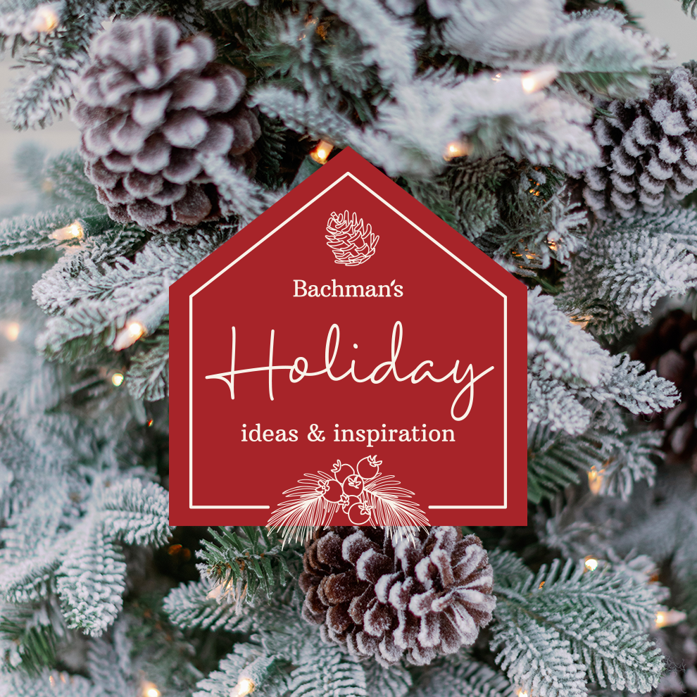 Bachman's Holiday Ideas.