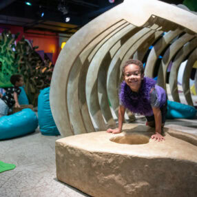 Minnesota Children's Museum Climbing Tunnel.