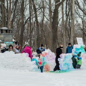 Children and adults play in the snow, building colorful snow forts in a wooded park area. The scene is lively with bright jackets and signs, surrounded by bare trees.