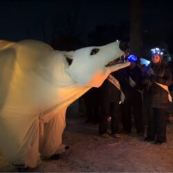Polar Bear at MontiArts Glow Fest.