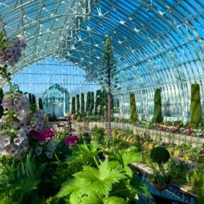 Como Park Conservatory Spring Flower Show 2023