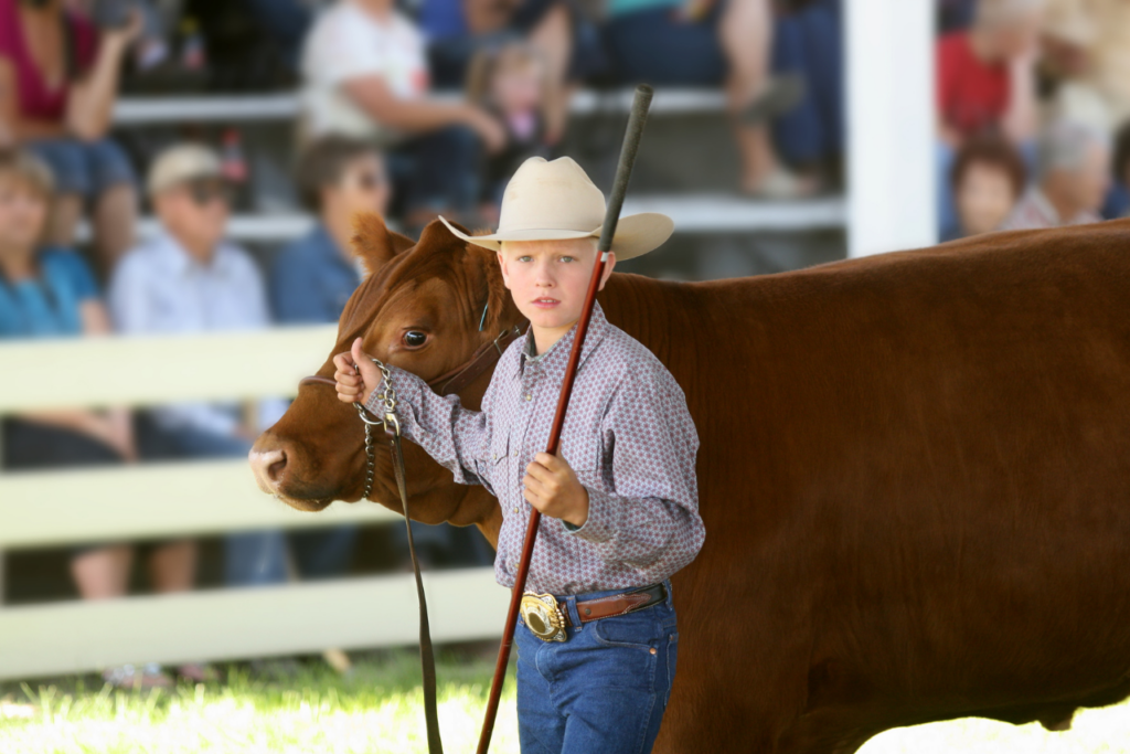 Minnesota County Fairs List 80+ Fairs to Visit in 2024 Thrifty Minnesota