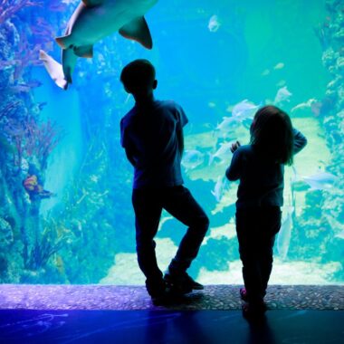 kids at aquarium