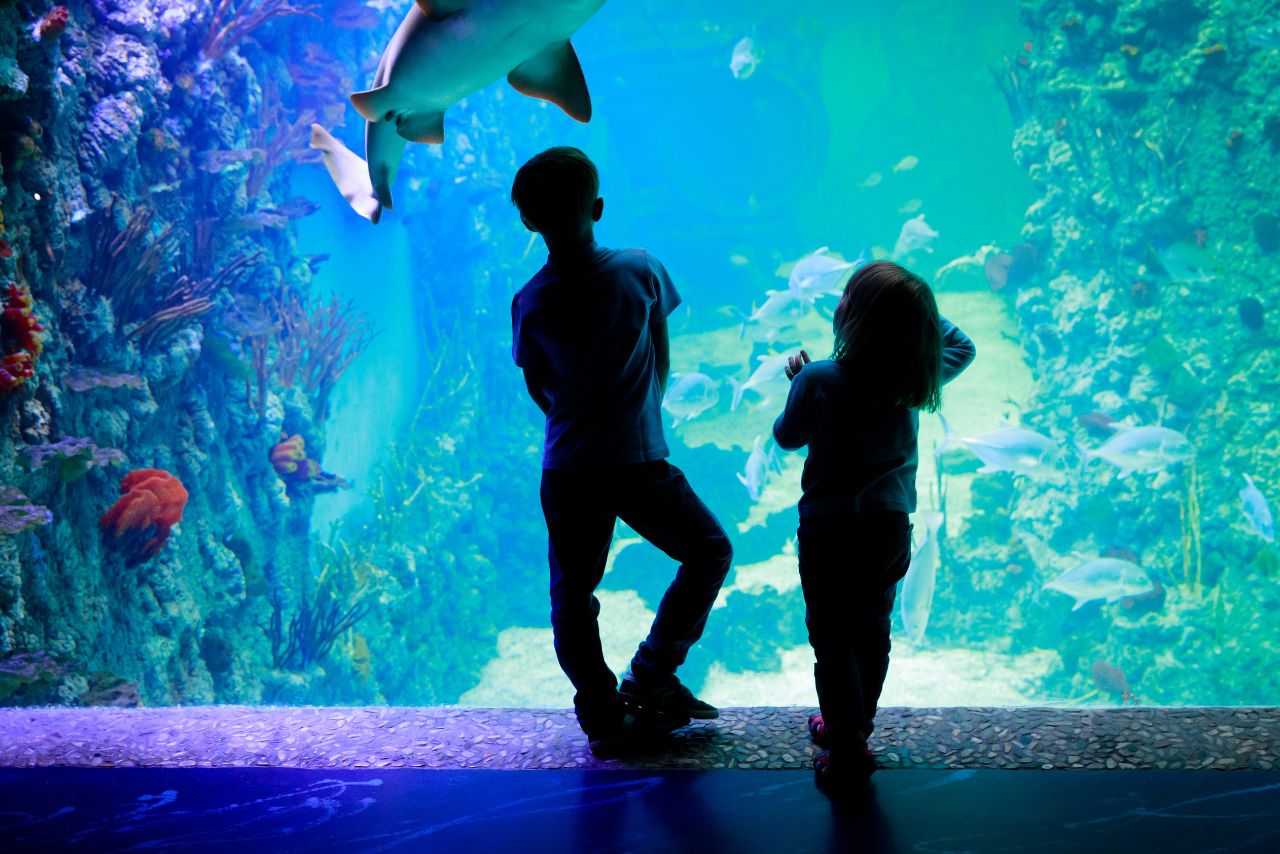 kids at aquarium