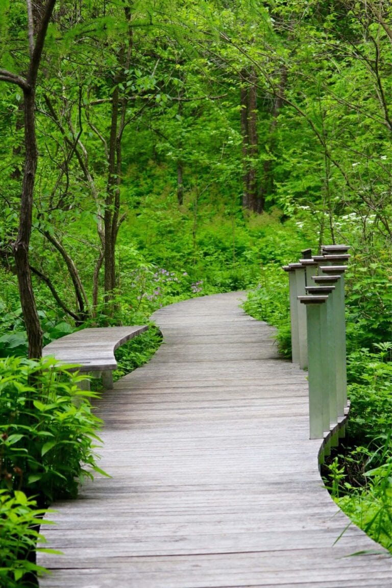 Eloise Butler Wildflower Garden and Bird Sanctuary Thrifty Minnesota