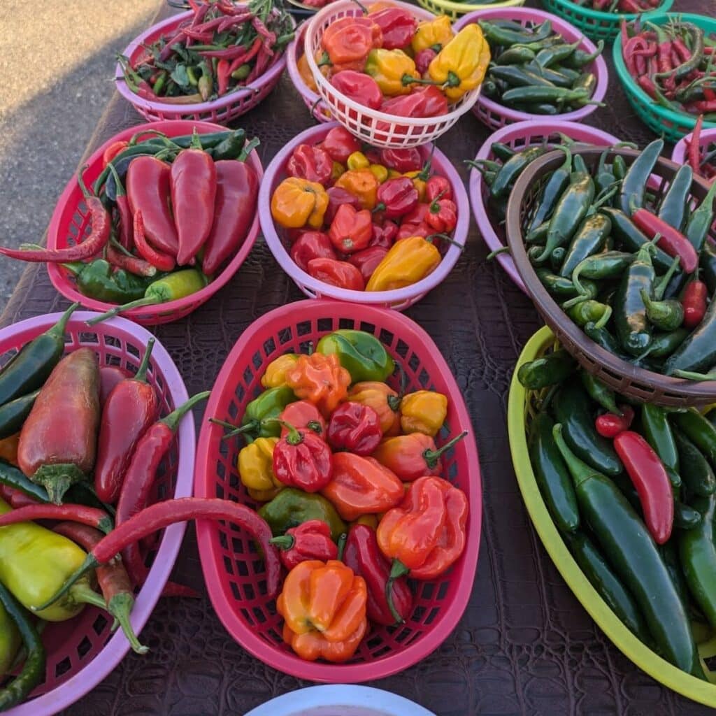 saint-paul-farmers-markets-open-thrifty-minnesota