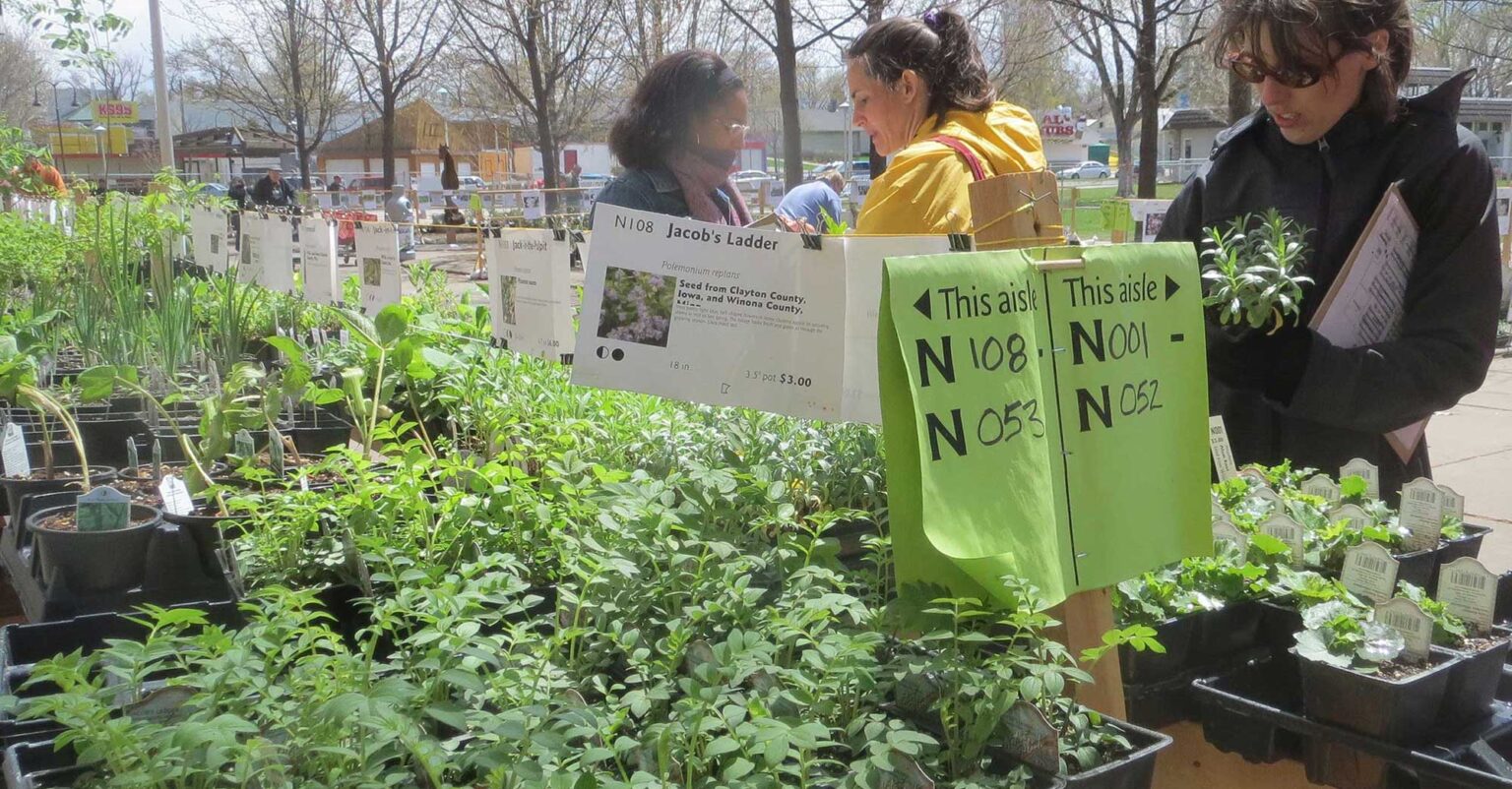 Friends School Plant Sale - Thrifty Minnesota