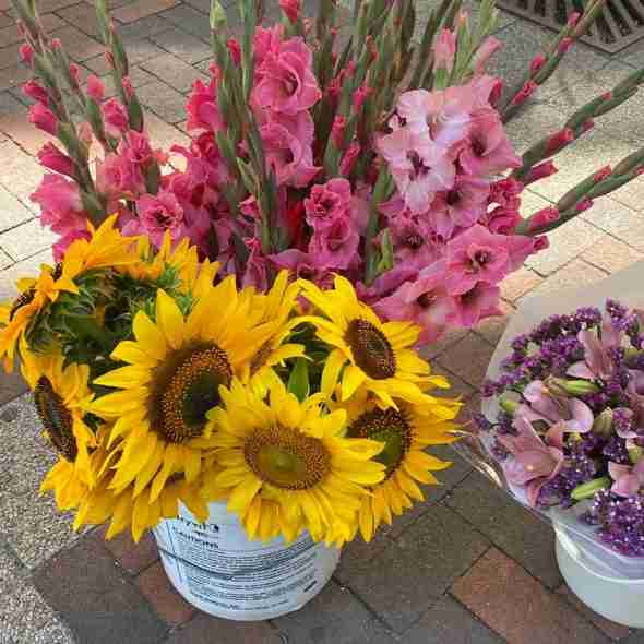 flowers at St. Paul Farmer's Market