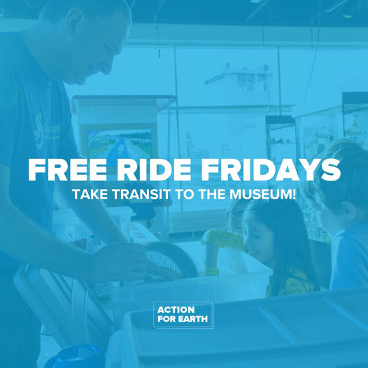 free ride friday