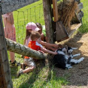 Children petting baby goats at Eidem Farm Spring on the Farm Event.