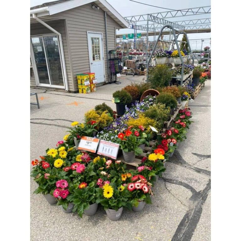 Fleet Farm FREE Mother's Day Kids Activity Thrifty Minnesota