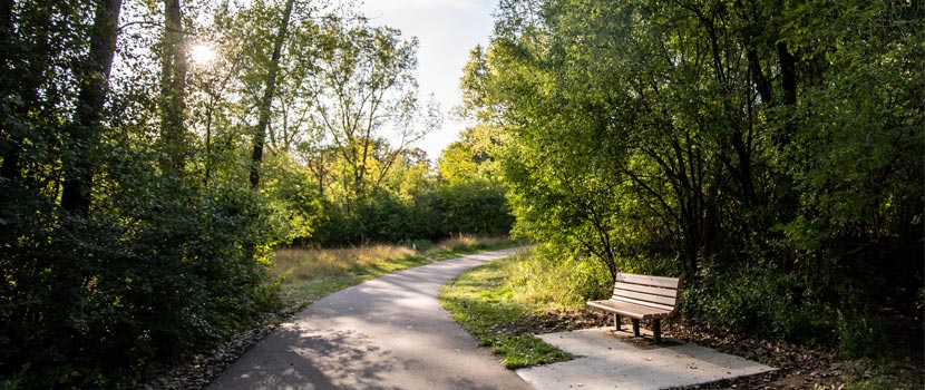 FREE Theatre Performances in Parks Throughout Minneapolis - Vimarsana News