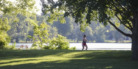 lake nokomis