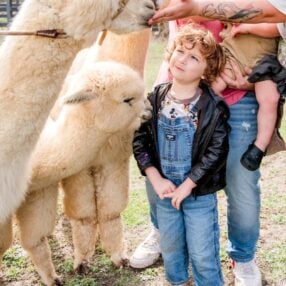 Alpaca Farm Days kids with alpacas.