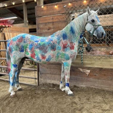 Horse with painted handprints.