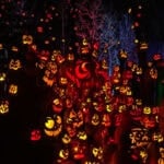 Minnesota Zoo Jack-O-Lantern Spectacular Pumpkins