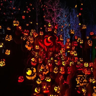Minnesota Zoo Jack-O-Lantern Spectacular Pumpkins