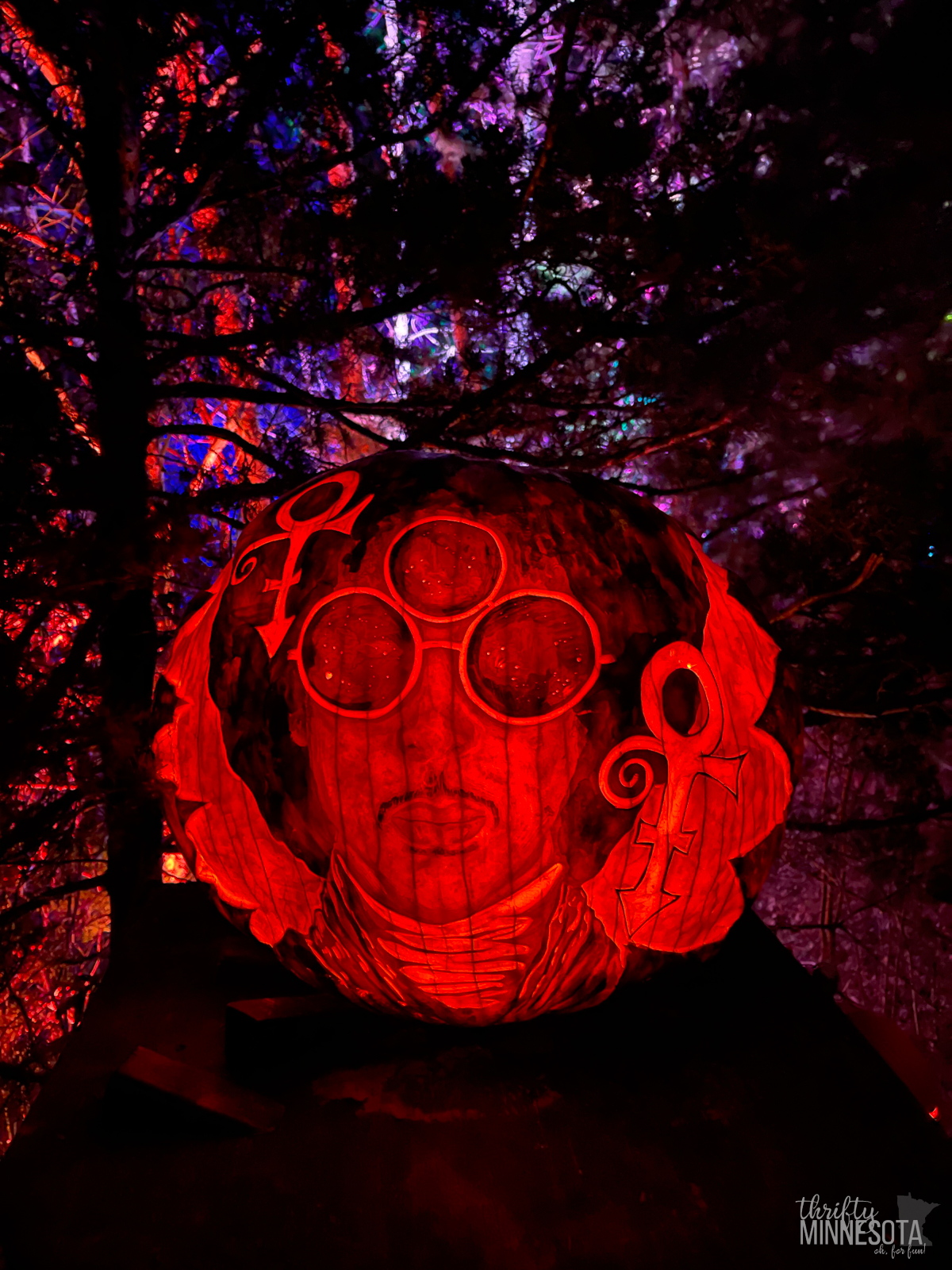 Minnesota Zoo JackOLantern Spectacular Thrifty Minnesota