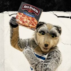 Timberwolves mascot Crunch holding Red Baron Pizza.