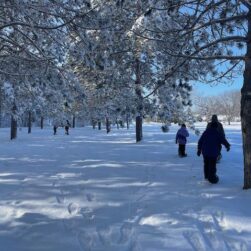 People snowshoeing in a forest during Bold and Cold Fest.