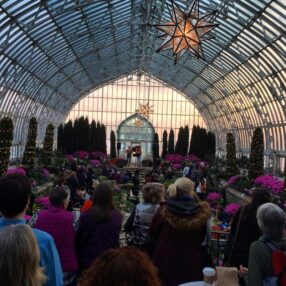 Music Under Glass at Como Conservatory musicians playing with a crowd.