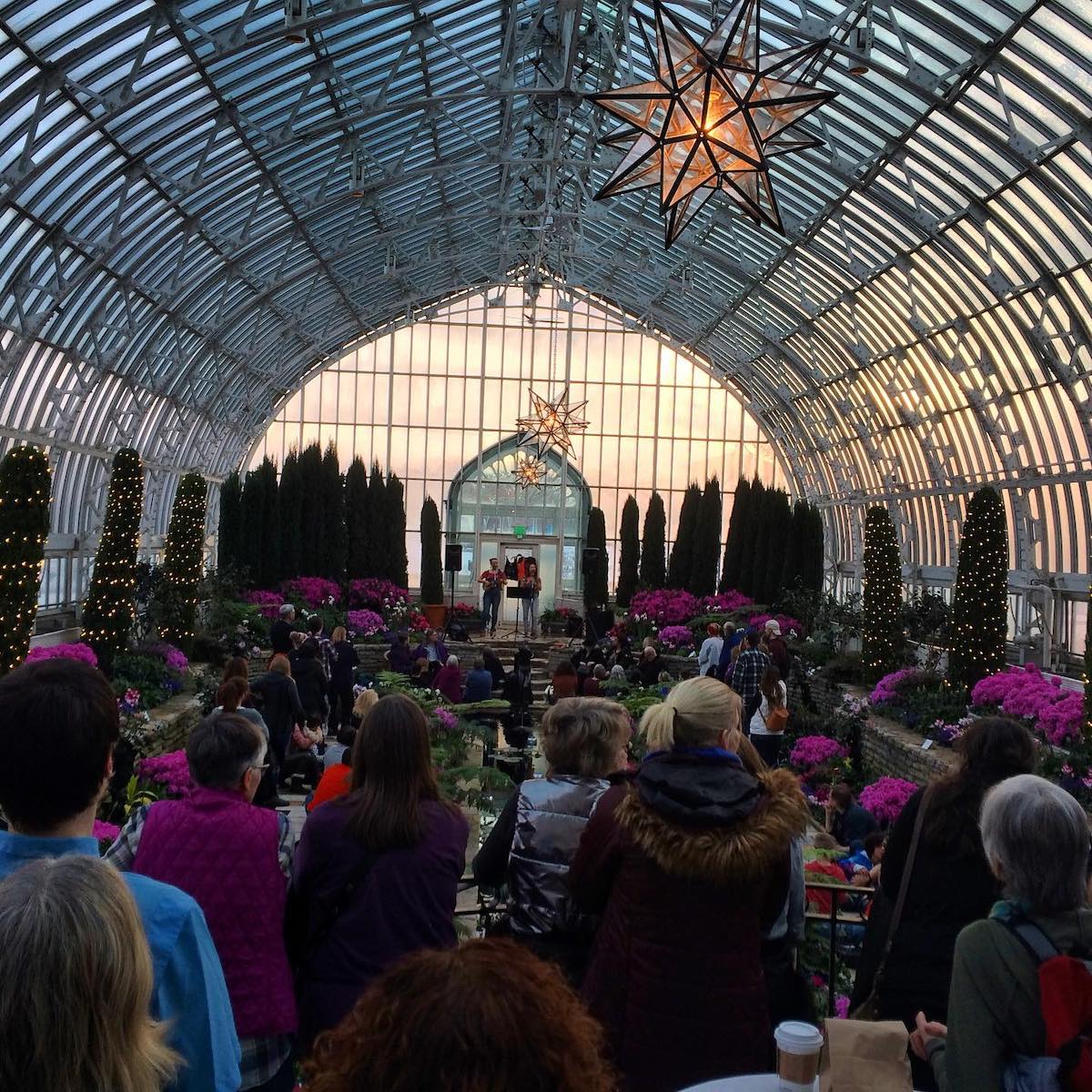 Como Park Zoo and Conservatory Music Under the Glass Thrifty Minnesota
