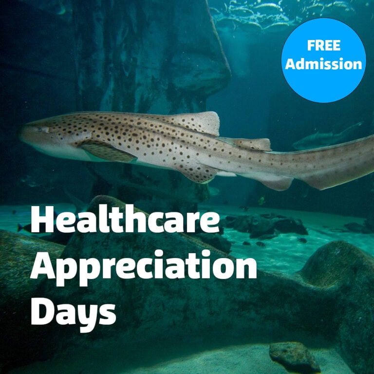 SeaLife Aquarium at MOA Healthcare Workers Free Admission through January 22! Thrifty Minnesota