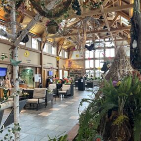 Landscape Arb Spring Flower show.