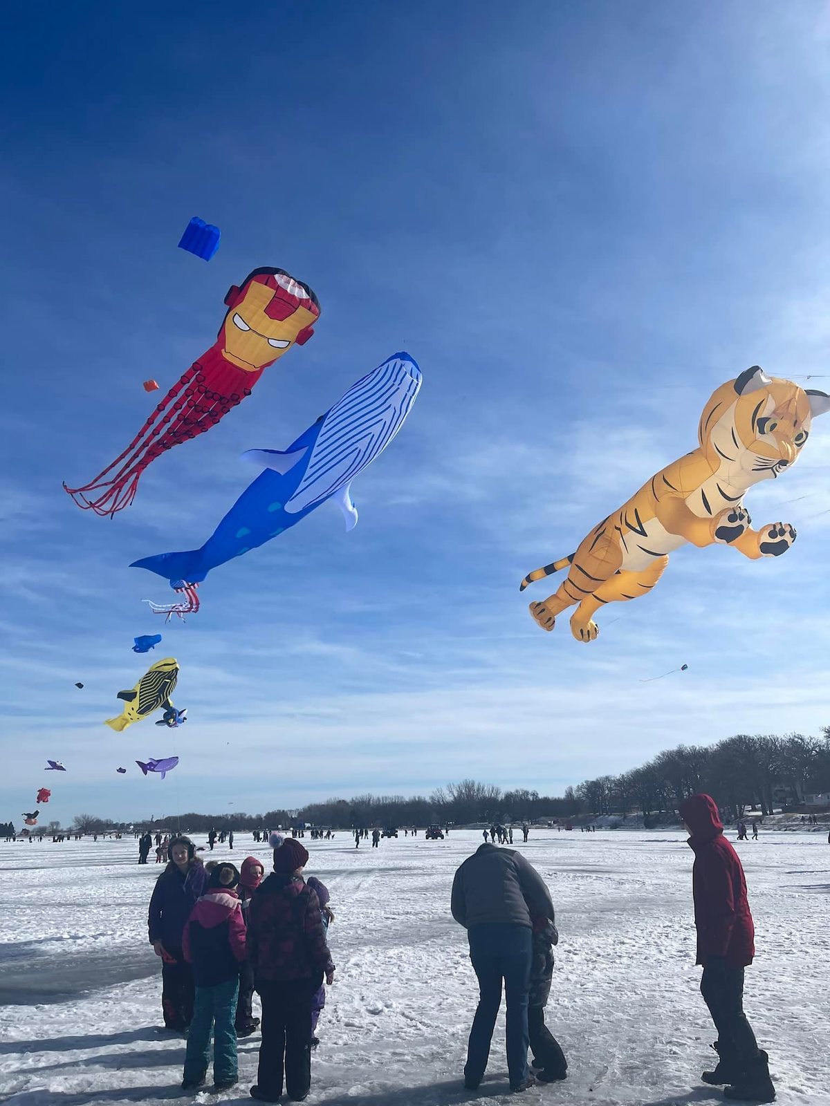 Kite festival on ice at Sleigh and Cutter Festival.