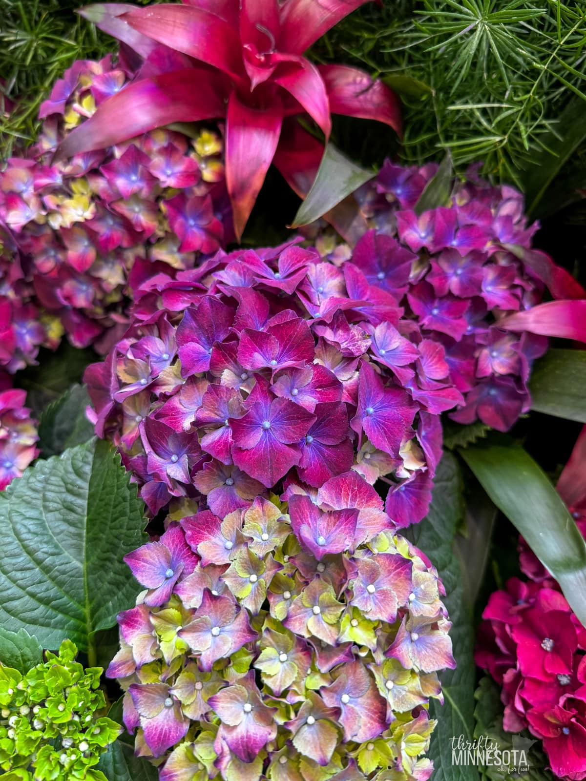 2025 Galleria Floral Experience Blooms.