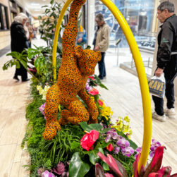 2025 Galleria Floral Experience Chimpanzee.