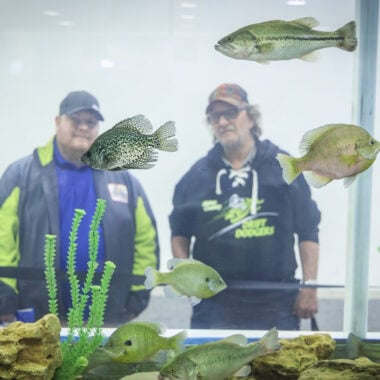 Two men looking at fish in Northwest Sportshow Fish Tank.