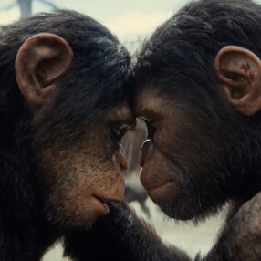 Kingdom of the apes movie still with 2 apes.
