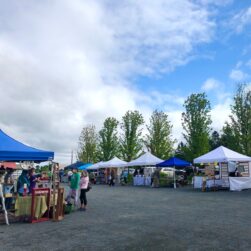 Franconia Art and Farmers Market overview image.