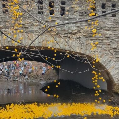Minnehaha Duck Race Drop.