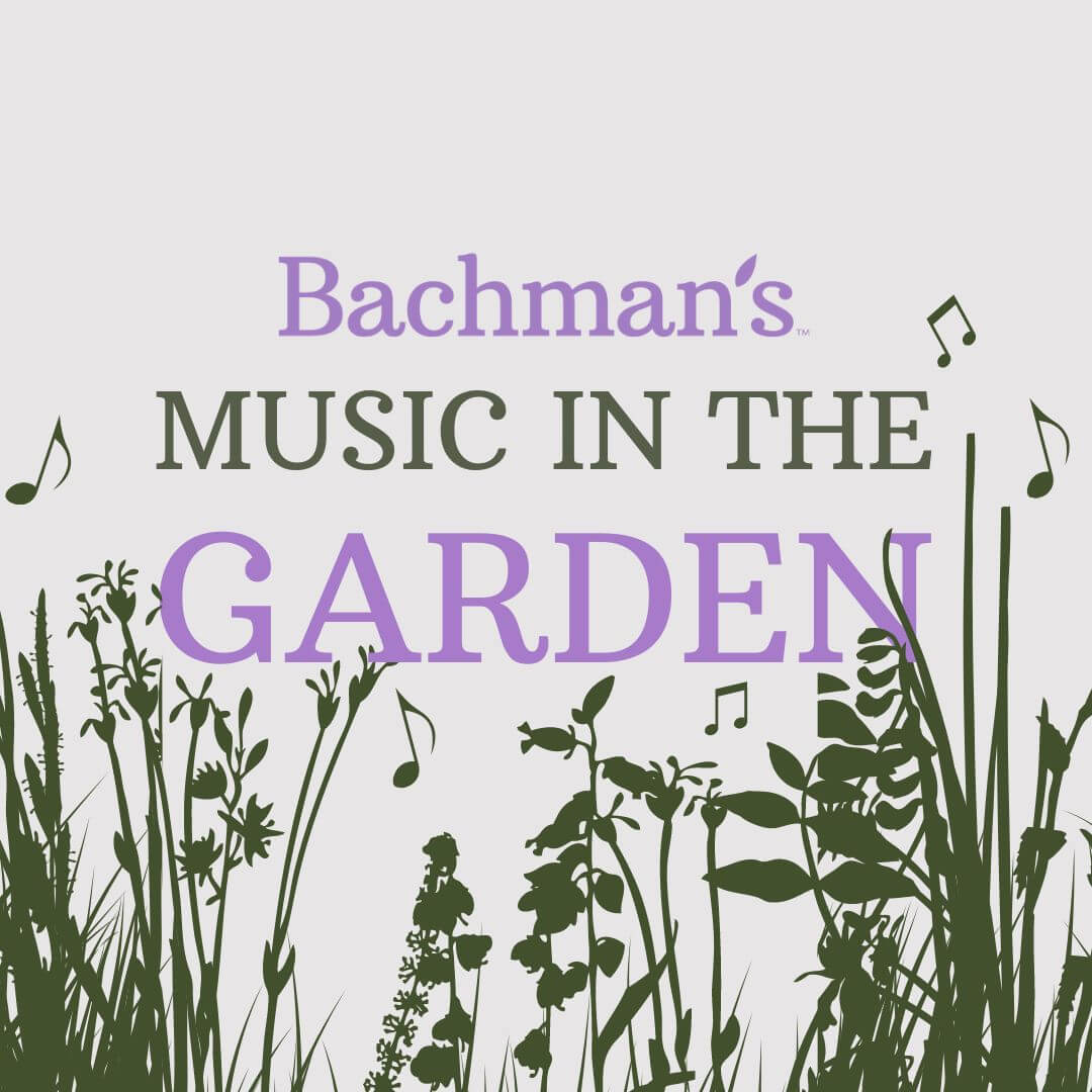 Bachmans Music in the Garden poster.