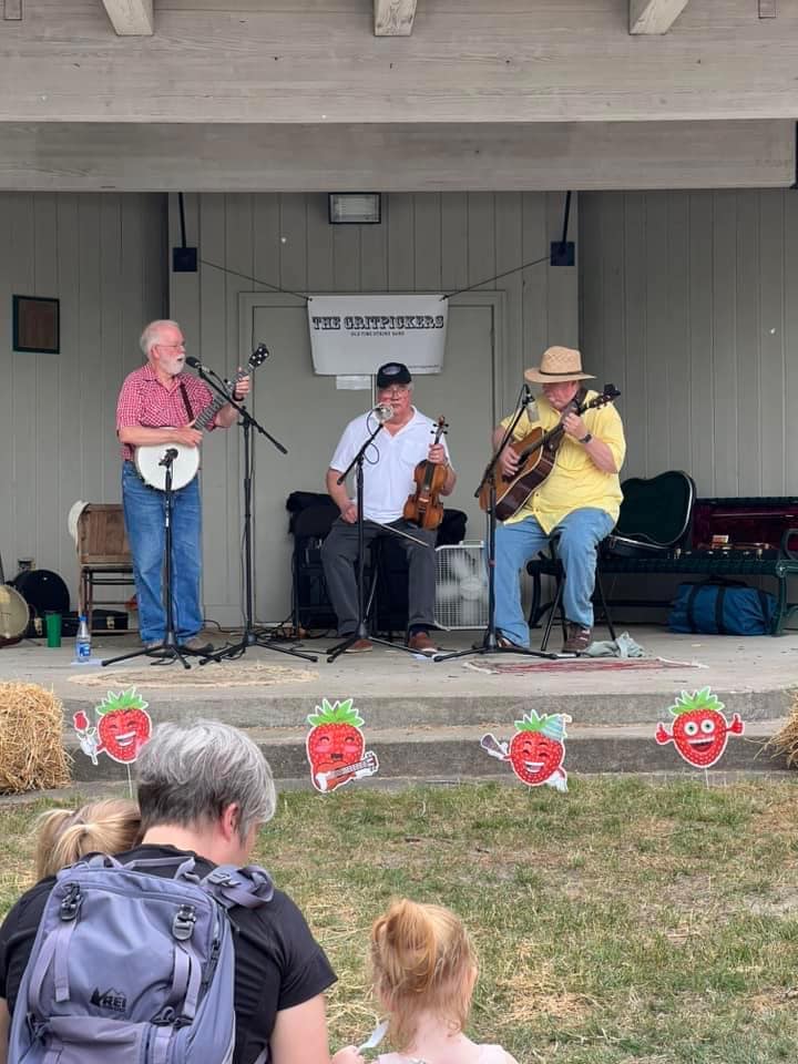 Afton Strawberry Fest Musicians.