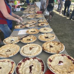 Table full of pies at Braham Pie Day.