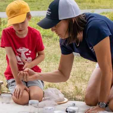 Three Rivers adult and child looking at bugs.