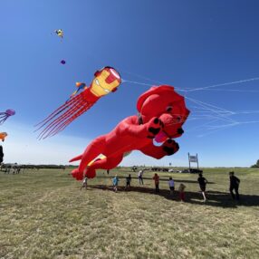 Kites in Albert Lea.