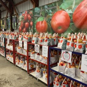 Apple Wall at AppleHouse.