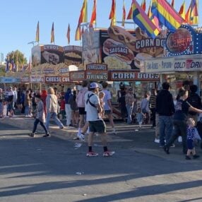 Burnsville Festival Food Vendors.