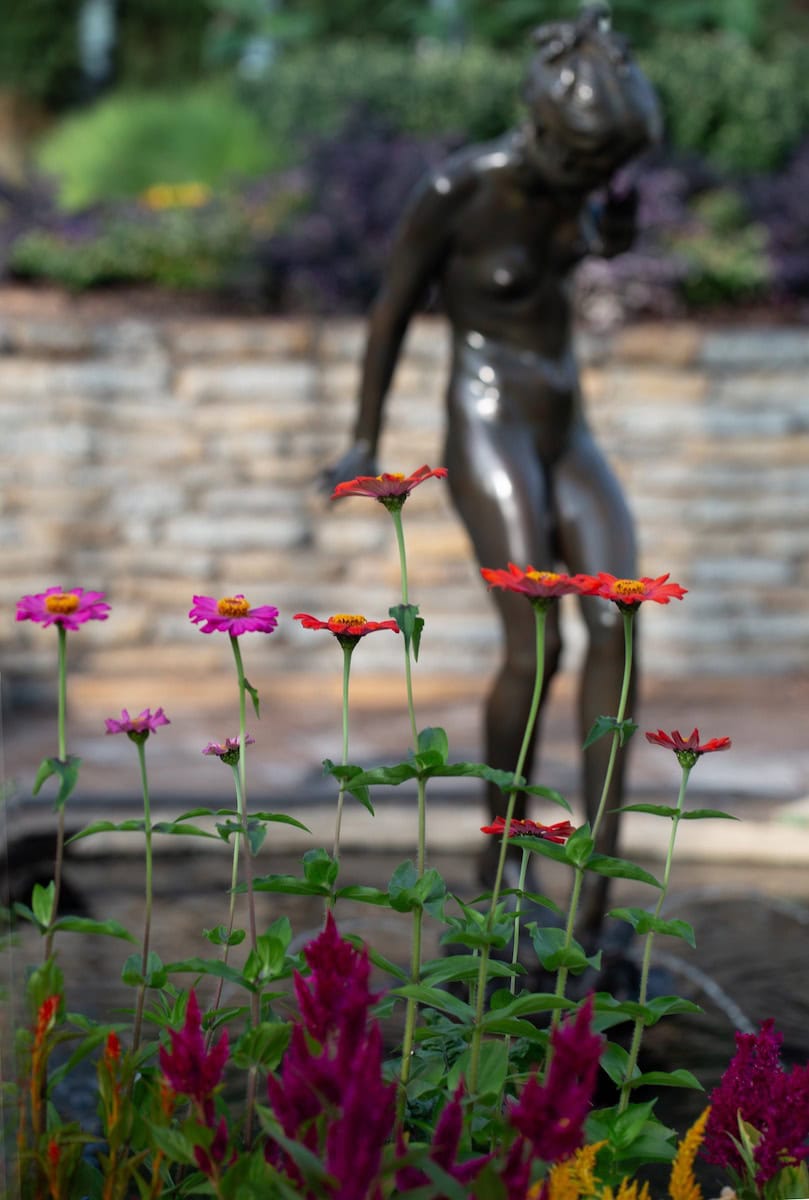 Beautiful plants at Como Fall Flower show.